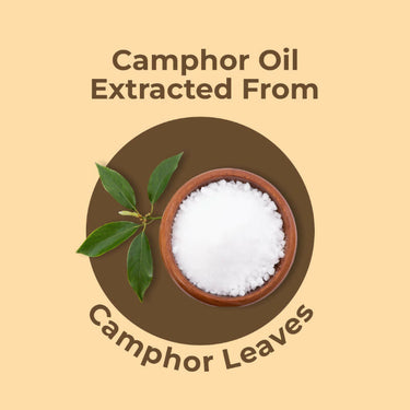 https://cdn.shopify.com/s/files/1/1857/6931/files/KMcJoWiSeE.jpg?v=1731580845